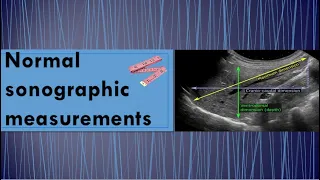 Normal ultrasound measurements