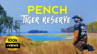 Pench Tiger Reserve Safari | Turia Gate | Vann Life - 4K Video Hindi