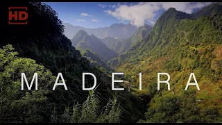 Madeira Island 🇵🇹