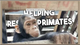 Friends of JACK Primate Sanctuary - our story