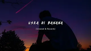 Uska Hi Banana  [ Slowed & Reverb ]| 1920 Evil Returns | Arijit Singh || Lyricssayss