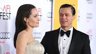 Angelina Jolie 'sought to harm' Brad Pitt in vineyard sale