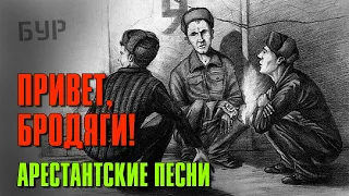 Привет бродяги! | Арестантские песни | Русский Шансон