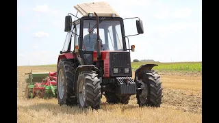 OPOROWE siewy słonecznika BELARUS W AKCJI