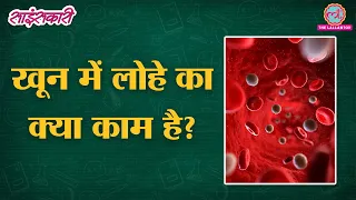 Blood में Iron का काम क्या है और इसके कम होने से क्या दिक्कत पैदा हो सकती है? | Anemia