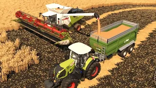 Farming on Shire Farm | EP#1 | FS 22 | Farming Simulator 22 Timelapse