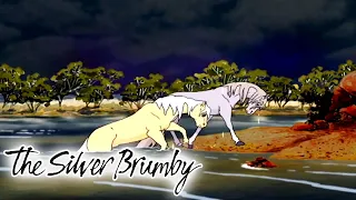 The Silver Brumby - To Catch a Brumby and Swimming to Safety (HD - Full Episode) Videos For Kids