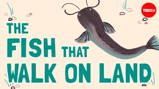 The fish that walk on land - Noah R. Bressman