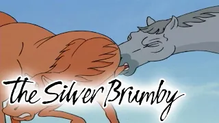 The Silver Brumby | Thowra to the Rescue | HD | Full Episode | Videos For Kids