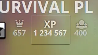 1,234,567 XP