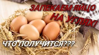 ЗАПЕЧЕННОЕ ЯЙЦО на углях! ЧТО ПОЛУЧИТСЯ? СМОТРИ!