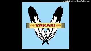 Positive Transfer | Yakari