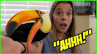 My Toucan Meets My Sister FOR THE FIRST TIME!!!