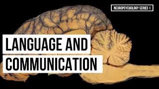Language and Communication (Series 1)
