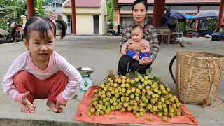 With Baby Abandoned on the riverbank Harvest Litchi Fruit goes to the market sell - Cooking