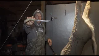 How to Clean and Quarter a Whitetail deer