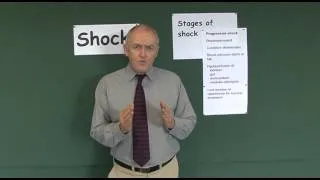 Shock 12, Stages of shock