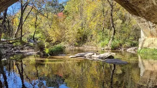 Soothing contemplation of the river under the old stone bridge | Relaxing clear water and stream |