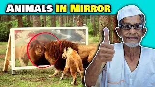 Villagers React To Animals in Mirror ! Tribal People React To Animals in Mirror