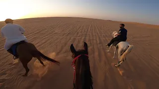 ركوب عيد الاضحى على الحصان ( سيف )  🐎♥️♥️