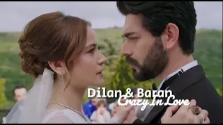 Dilan & Baran : Crazy in Love ( Kan Cicekleri)