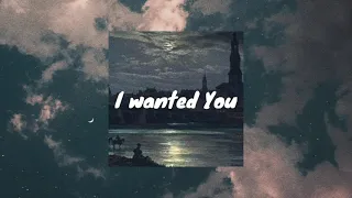 I Wanted You - Ina [Vietsub + lyrics]