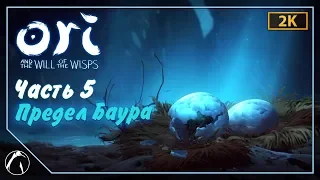 ПРЕДЕЛ БАУРА | Ori and the Will of the Wisps ➤ ЧАСТЬ 5