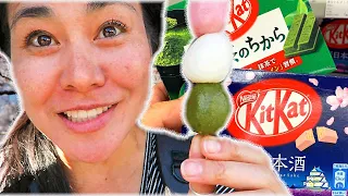 🌸10 JAPANESE CHERRY BLOSSOM SNACKS | Japanese Food Haul