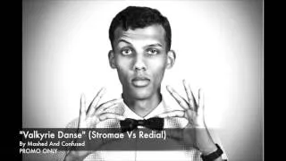 Valkyrie Danse (Stromae Vs Redial)