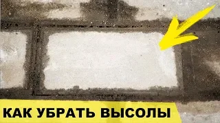 Как убрать высолы - 100% РАБОЧИЙ МЕТОД