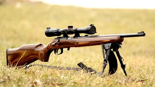 Top 5 Best .270 Winchester Rifles In The World