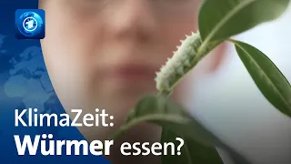 Mehlwürmer essen für den Klimaschutz? | KlimaZeit | tagesschau24