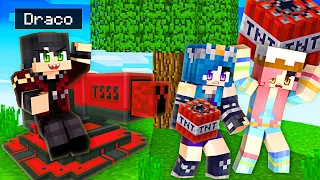 We play with CRAZY Minecraft TNT!