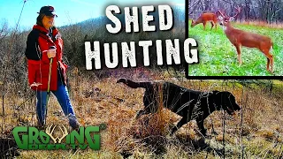 Shed Hunting Tips: When to Hunt and Where to Look to Find Shed Antlers (606)