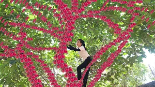 Harvesting VẢ from a TALL TREE and cooking traditional spring rolls