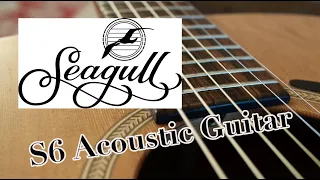 SEAGULL S6 Acoustic Dreadnought Guitar DEMO