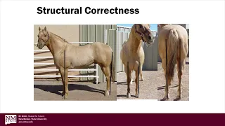 Evaluating Stock Type Conformation (Part 2: Structural Correctness)