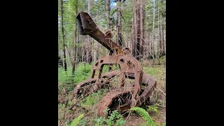 Track-Laid Logging Arch Discovered in the Santa Cruz Mountains, Gazos Creek Watershed, May 2024