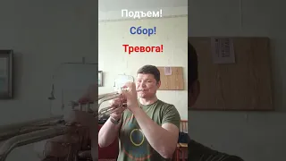 Пионерские сигналы!