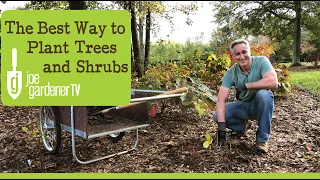 The Best Way to Plant Trees and Shrubs for Healthy Establishment