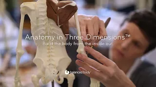 Anatomy in Three Dimensions™