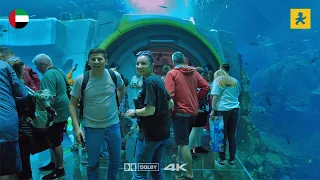 Abu Dhabi, United Arab Emirates 🇦🇪 | Walking Tour SeaWorld Abu Dhabi | Mar 2024