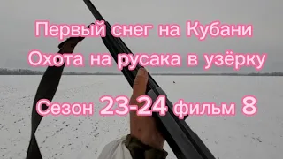 Первый снег на Кубани,охота на зайца русака в узёрку.Сезон 23-24 фильм 8.