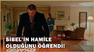 Yiğit, Sibel'in Hamile Olduğunu Öğrendi! - Şeref Meselesi 21.Bölüm