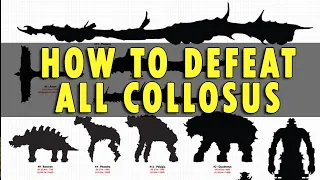 TUTORIAL MENGALAHKAN SEMUA COLLOSI - SHADOW OF THE COLLOSUS