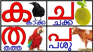 Learn Malayalam Consonants(വ്യഞ്ജനം, vyañjanam)|Malayalam Alphabet Malayalam Aksharamala|ക ഖ ഗ ഘ ങ