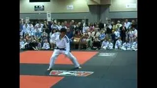 Chief Master GK Lee Oh Gum Do (sword) demo.AVI