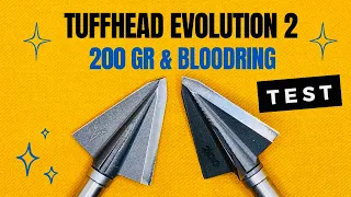 TUFFHEAD EVOLUTION 2, 200 gr & Bloodring: Broadhead Test