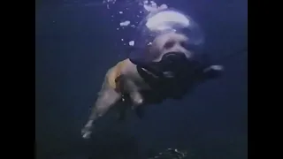 Benji Takes a Dive at Marineland (1981)