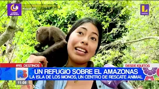 🔴 #ReporteSemanal | Un refugio sobre el amazonas, la isla de los monos, un centro de rescate animal